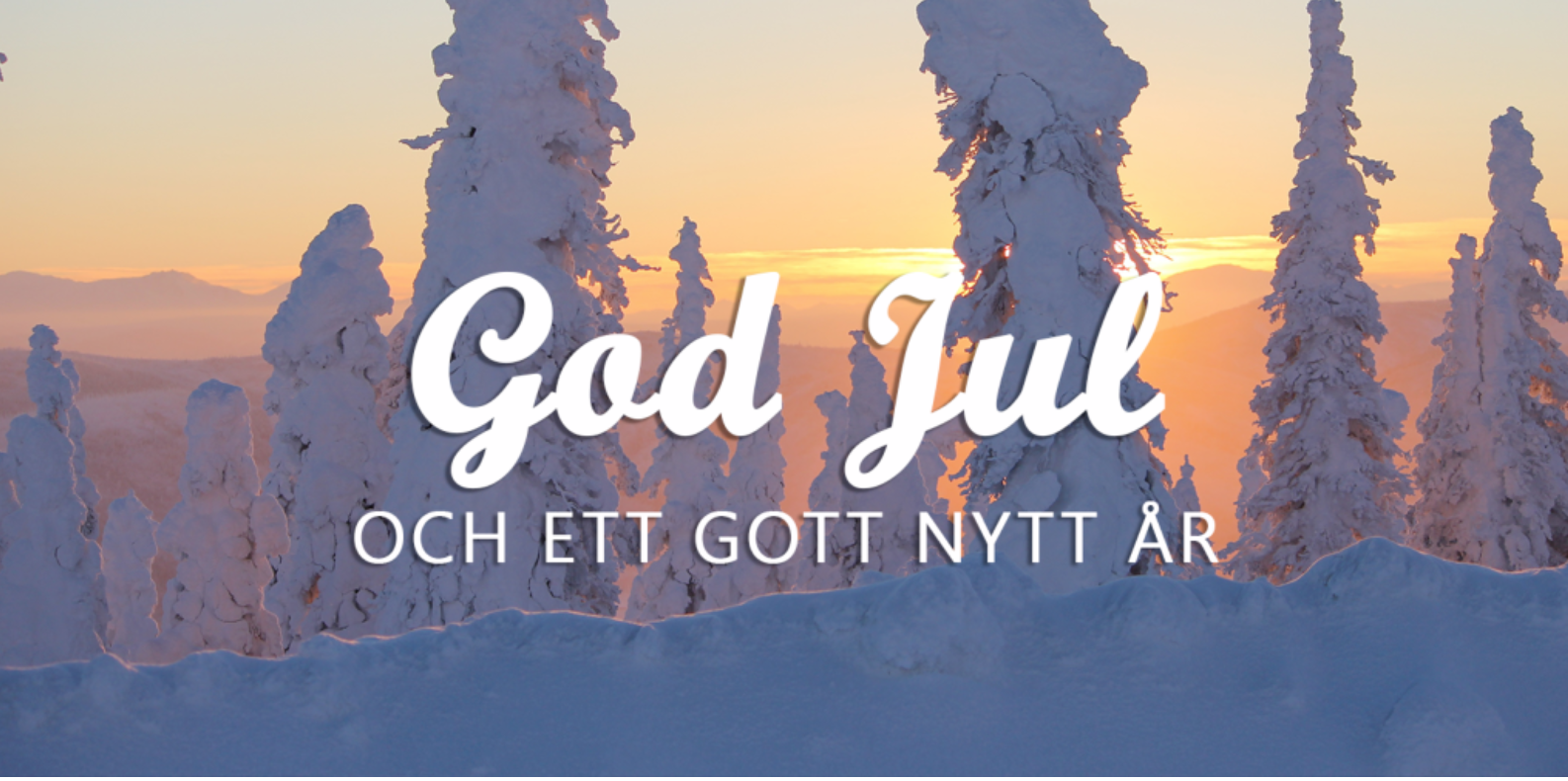 GOD JUL OCH GOTT NYTT ÅR ÖNSKAR VI PÅ APPSALES.